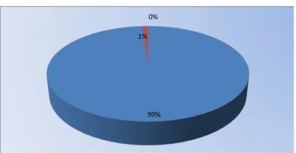 Gráfico N° 7  99%1%0% SI NO