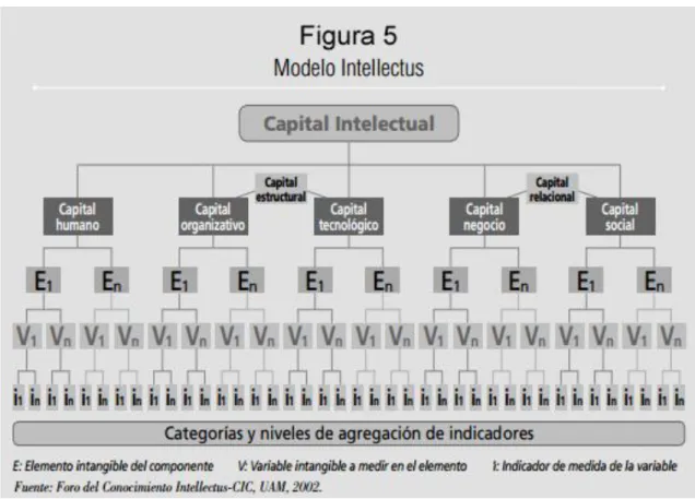 Figura 5: Estructura del Modelo Intellectus 
