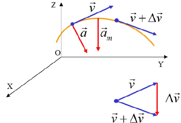 Figura 2.3. Sentido de los vectores velocidad y aceleración. 