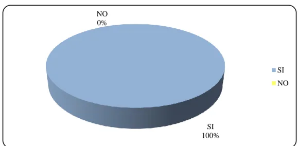 Gráfico N° 6 