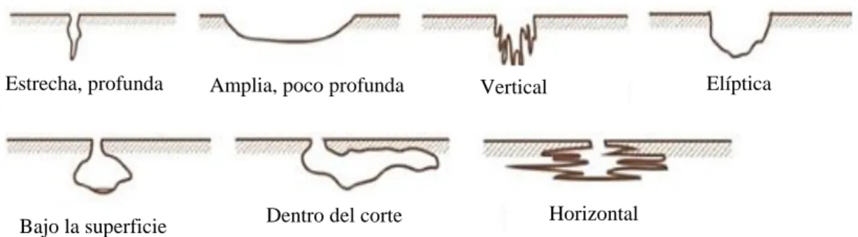 Figura 7 Boceto de formas de picaduras comunes 