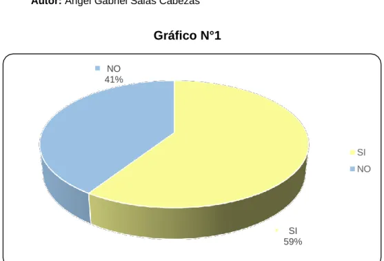 Gráfico N°1 