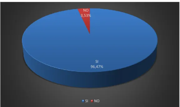 Gráfico N° 6 