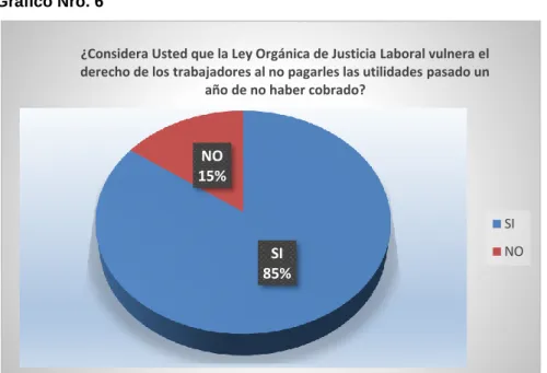 Gráfico Nro. 6     