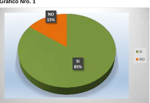 Gráfico Nro. 1 
