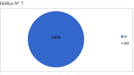Gráfico N° 7  