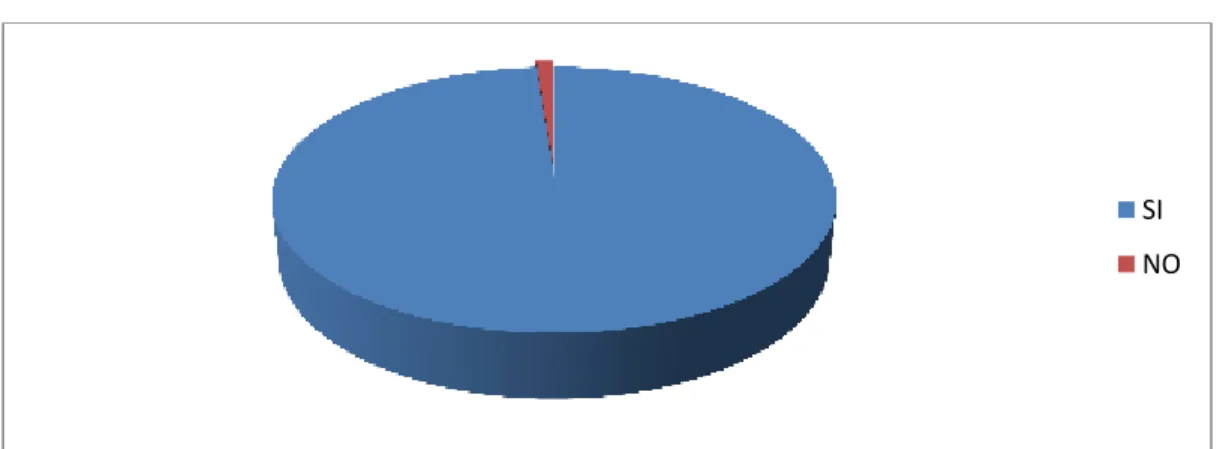 Gráfico N° 1 