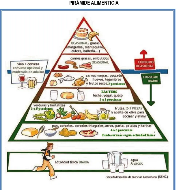 Gráfico 1.   Pirámide Alimenticia 