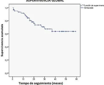 Gráfico  1.  Supervivencia  global  de  pacientes  con  cáncer  epitelial  de  ovario