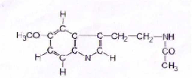Figura 2: Estructura de la melatonina,  N-acetyl-5-metoxytriptamin (1) 