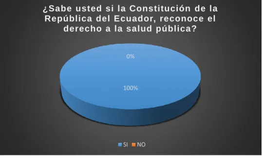 Gráfico 1 En referencia a la pregunta 1 