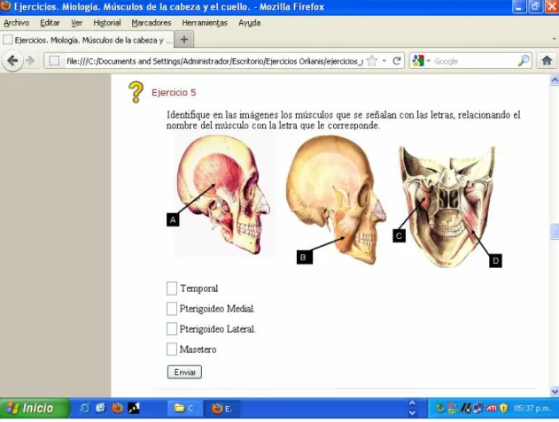 Figura 5. Ejemplo de ejercicio con imágenes.