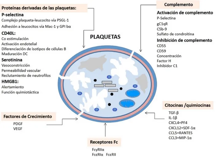 Figura 2.  Moléculas expresadas por las plaquetas. (Modificado de la referencia 49).