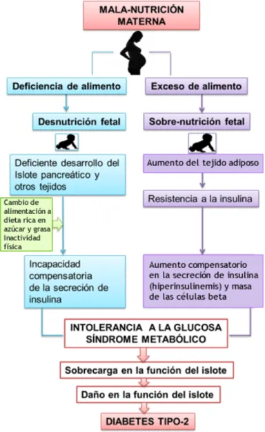 Figura 1.  Esquema de la teoría de la programación 