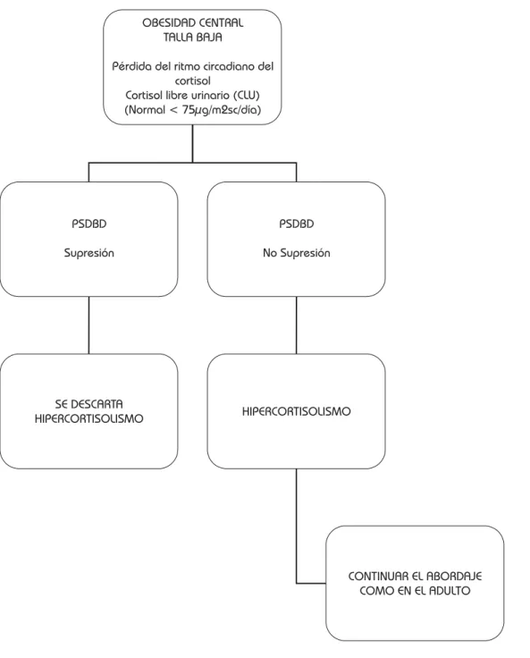 Figura 2. Diagnóstico de hiper-