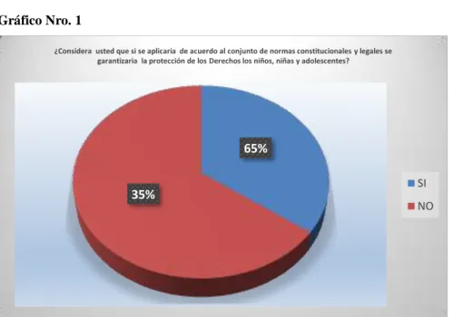 Gráfico Nro. 1 