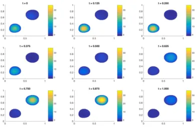 Fig. 3 Experiment 3. Support of the optimal 2D control at different moments of time. Con- Con-tinuous piecewise linear functions