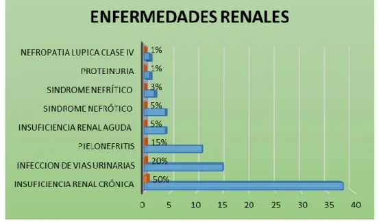 Gráfico 3: Principales enfermedades renales  