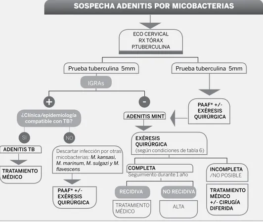 Figura 1. Resumen actuación diagnóstico-terapéutica en caso  de sospecha de adenitis por micobacterias