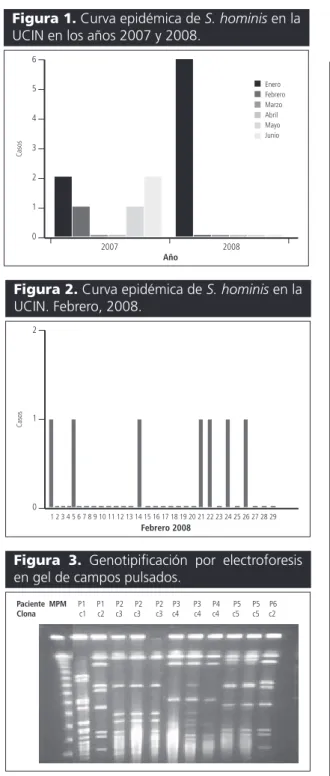 Figura 1. Curva epidémica de S. hominis en la 