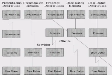 Figura N° 6: Clasificación Cliente / Servidor 