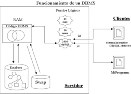 Figura N° 8: Componentes de un DBMS 
