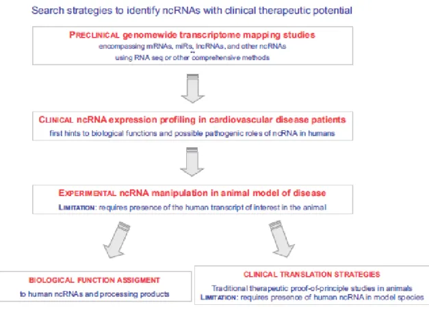 Figura  4.  Estrategias  de  búsqueda  de  RNAs  no  codificantes  de  interés.  Los  estudios  GWAS y el mapeo del transcriptoma han revelado un número inmenso de nuevos RNAs  no codificantes y ha proporcionado información estructural acerca de sus loci p