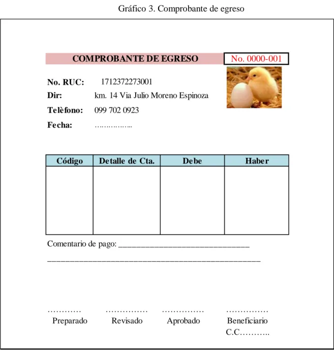 Gráfico 3. Comprobante de egreso 