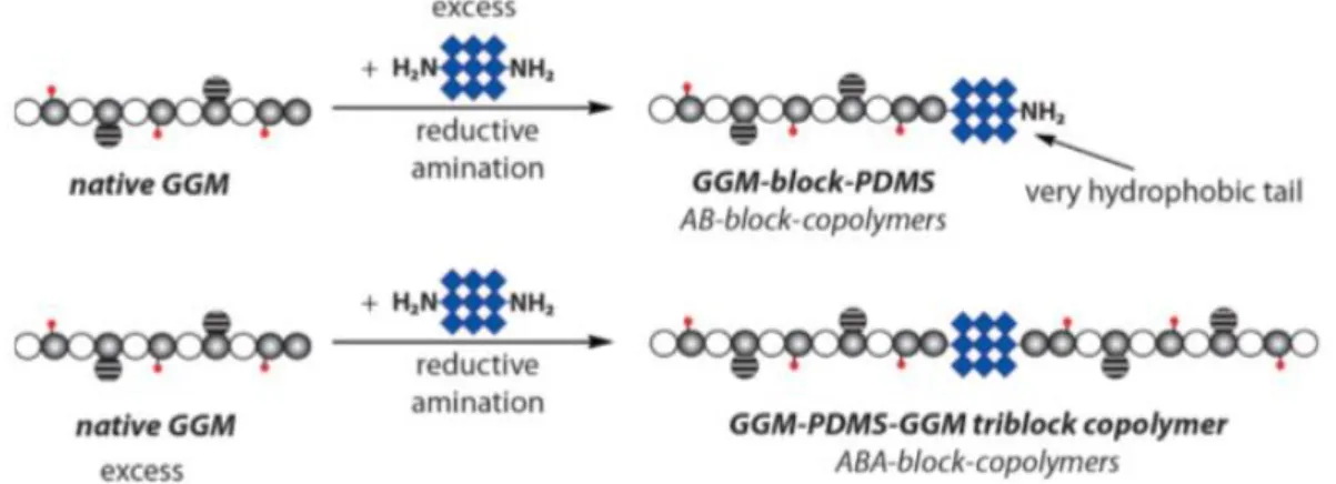 Figure 4. Illustration of the synthesis of the GGM-block-PDMS and GGM-