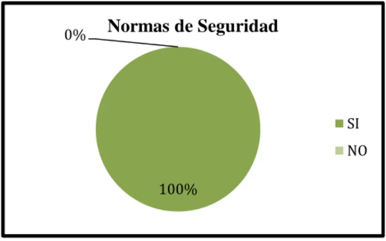 Gráfico N° 6