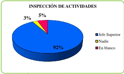 GRÁFICO N° 13 