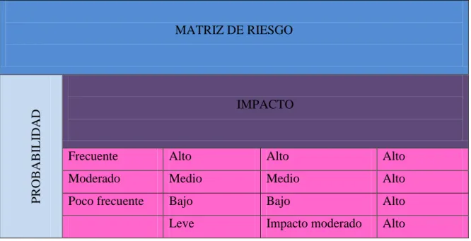 Tabla 11: Matriz de riesgo 