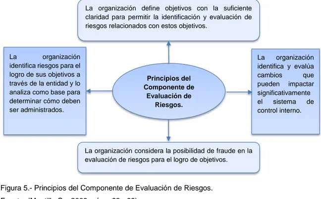 Figura 5.- Principios del Componente de Evaluación de Riesgos.  Fuente: (Mantilla S. , 2009, págs