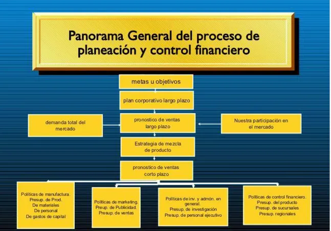 Gráfico 3. PANORAMA GENERAL DEL PROCESO DE PLANEACIÓN Y CONTROL  FINANCIERO 