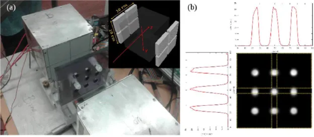 Figure 1. (a) The PET detector system and the phantom with two out of 9 FDG-fllled test tubes mounted