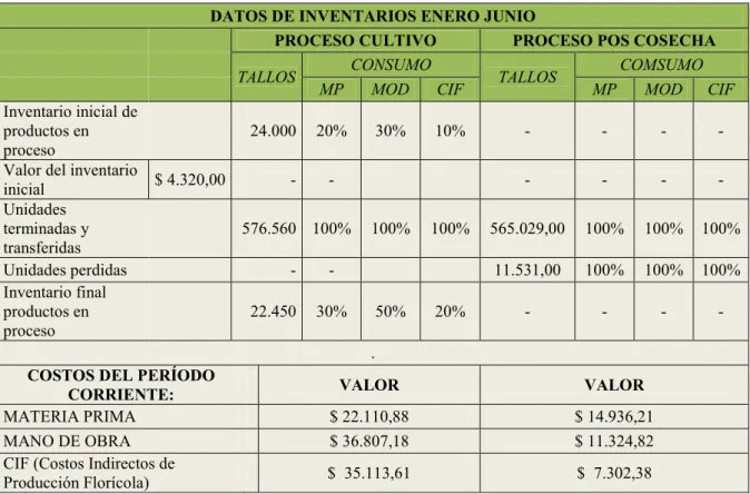 Tabla N°9.  Flujo de Producción  