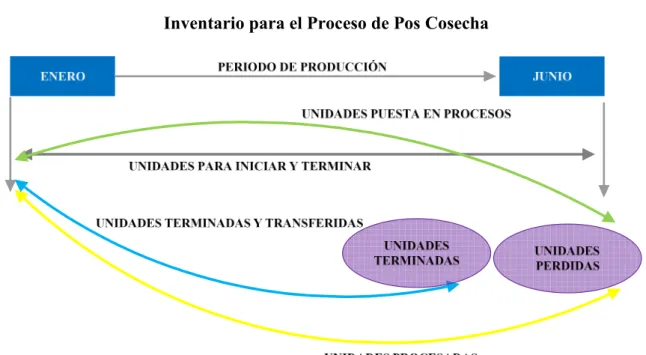 Gráfico N°7.