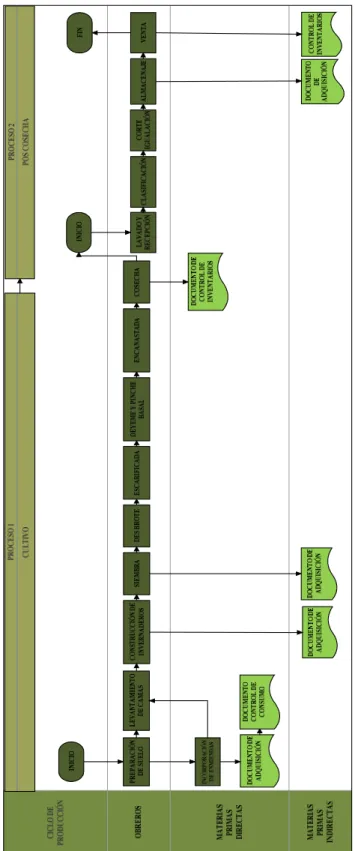 Gráfico N°5.