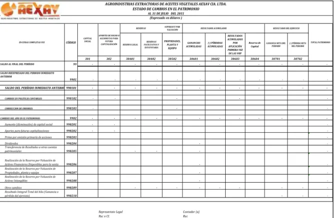Tabla 8. Estado de evolución del patrimonio horizontal (Tipo matriz) 