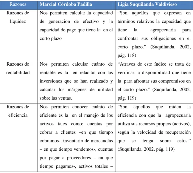 Tabla N° 3  Índices Financieros 