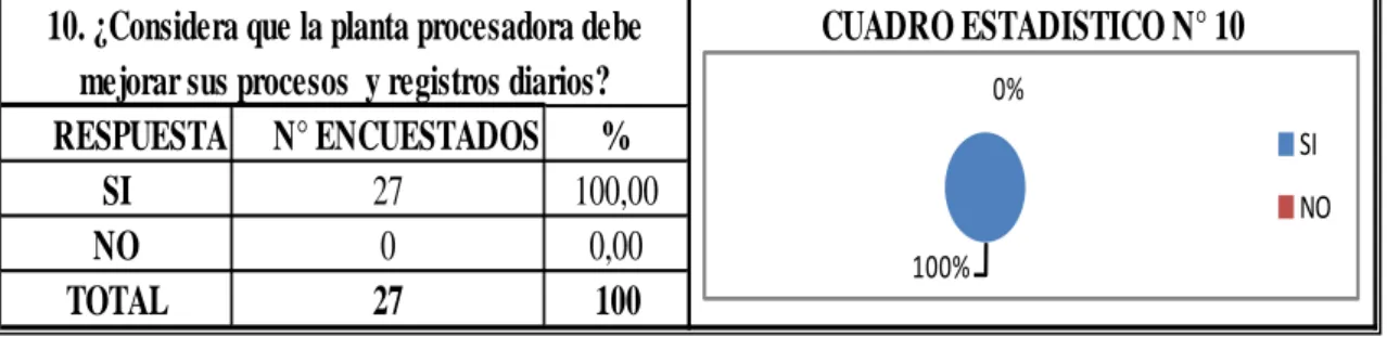 CUADRO ESTADISTICO N° 10