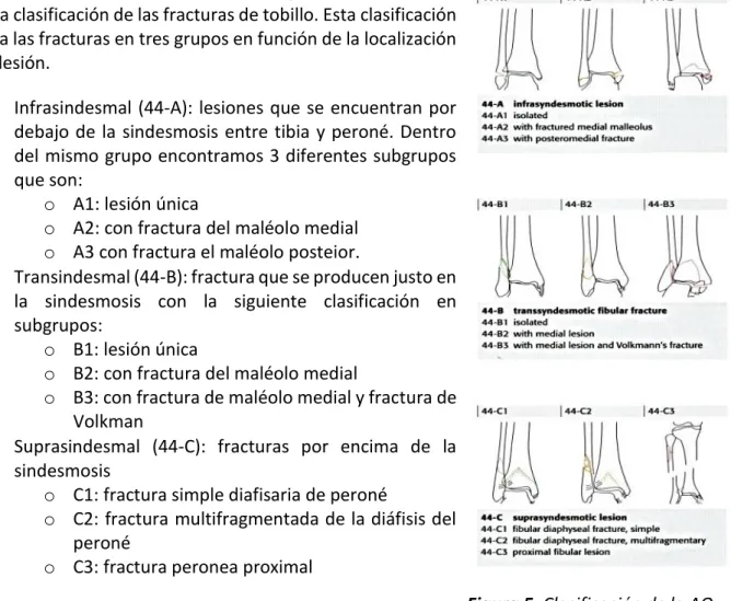 Figura 5. Clasificación de la AO. 