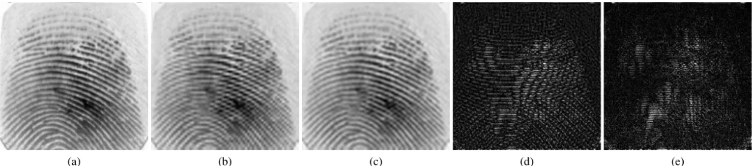 Fig. 6. Transform performance. (a) is the original fingerprint image; (b) shows the result of applying the D9/7 Fixed Point implementation wavelet and (c) the equivalent for the best evolved individual; (d) shows the difference image for the D9/7 result and (e) for the best evolved wavelet.
