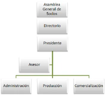 Figura 6. Organigrama Asociación de Productores Agropecuarios de Pimampiro (APAP) 