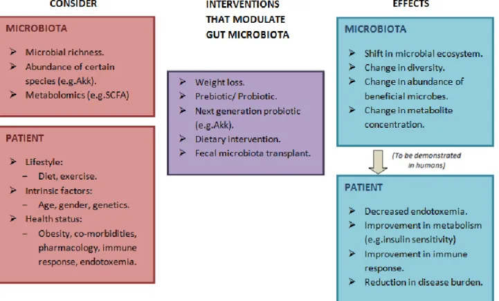 Fig. 17. Potential of gut microbiota in clinical care. Several aspects of gut microbiota composition and function have been implicated in  metabolic diseases