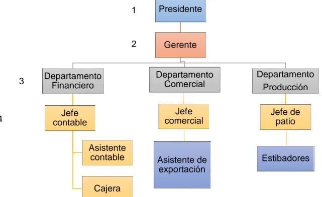 Figura 1. Organigrama propuesto para QUEVECOCOA S.A. 