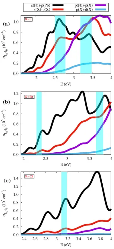Figure  4:  Most  important  angular  momentum  species  contributions  to  the 