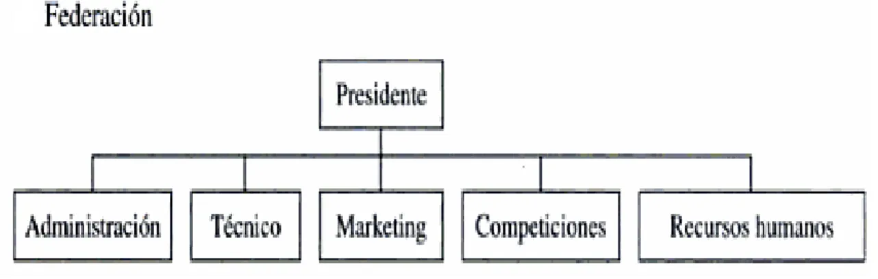 Ilustración 1. Estructura funcional por departamentos 