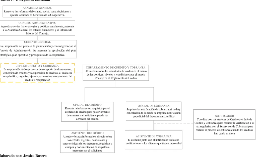 Gráfico N° 3 Orgánico funcional 