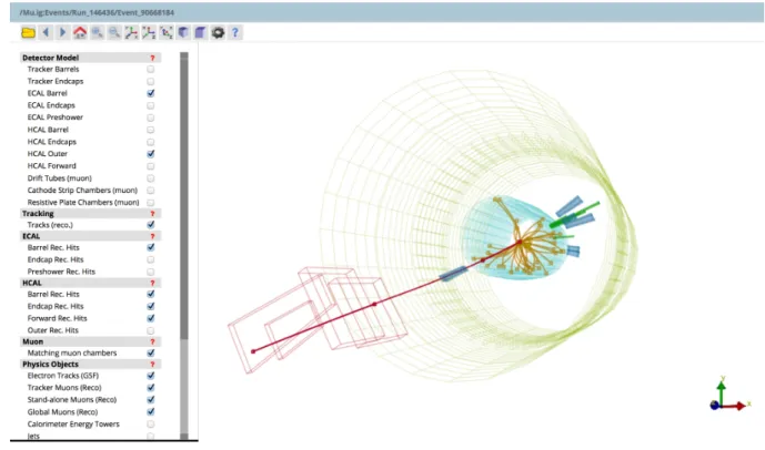 Figure 2. A screenshot of an event display from the Mu primary dataset.